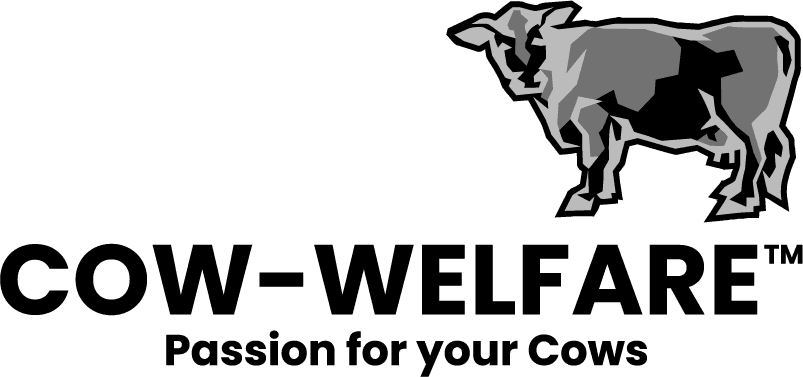 Cow Welfare